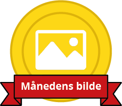 Månedens bilde